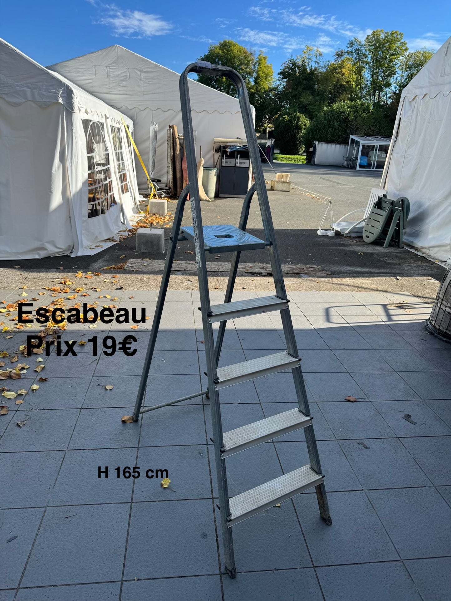 Escabeau 049638