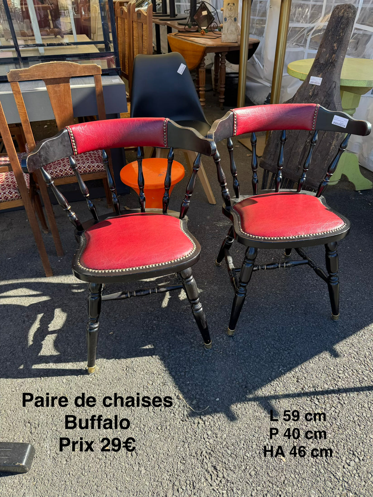 Paire de chaises Buffalo 068531