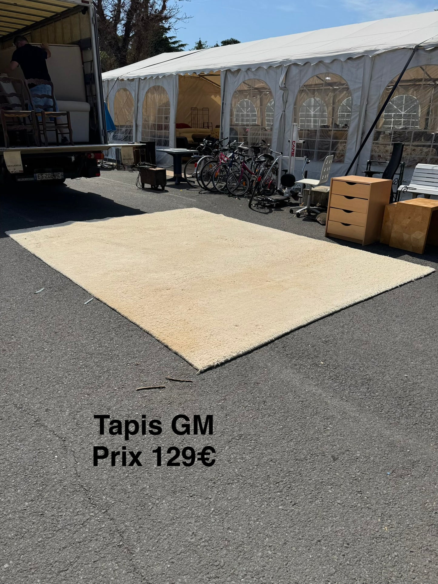 Tapis GM 063833