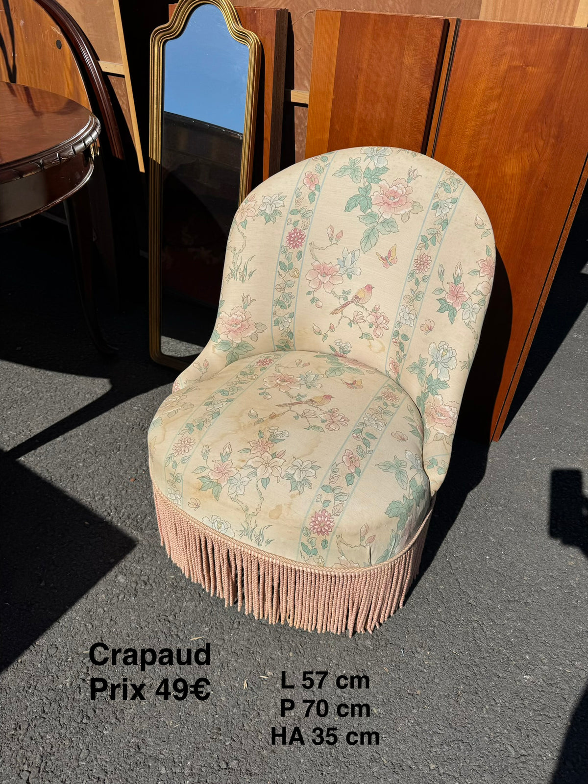 Crapaud 068153