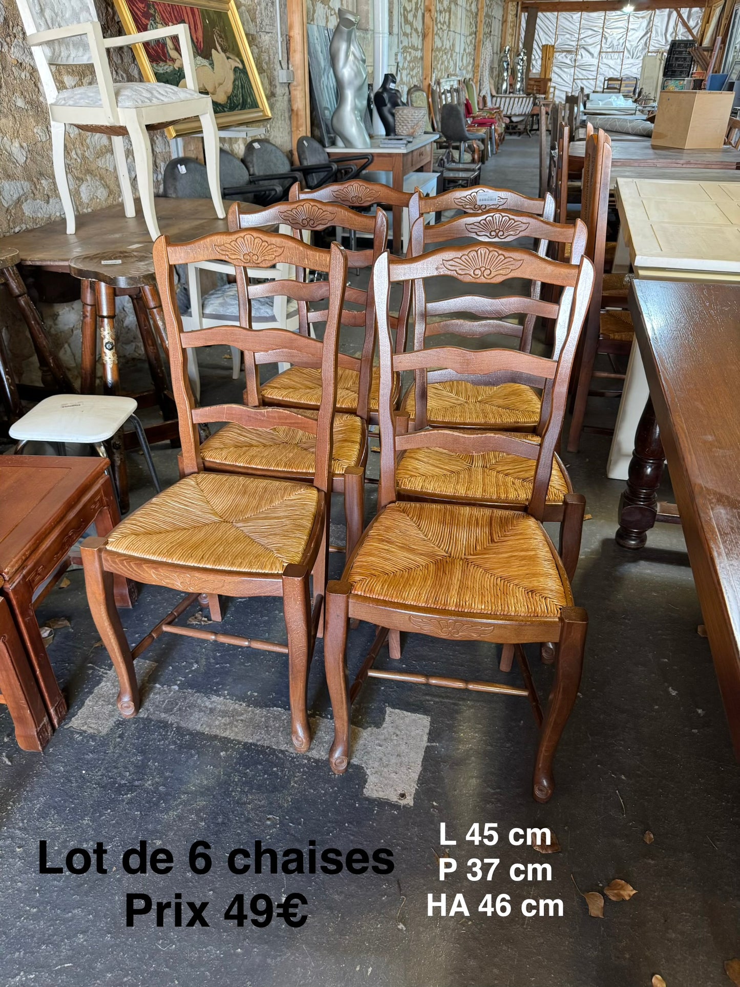 Lot de 6 chaises 063605