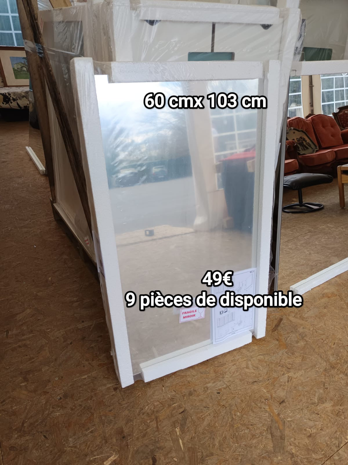 Miroir 60 cm X 103 cm 038553