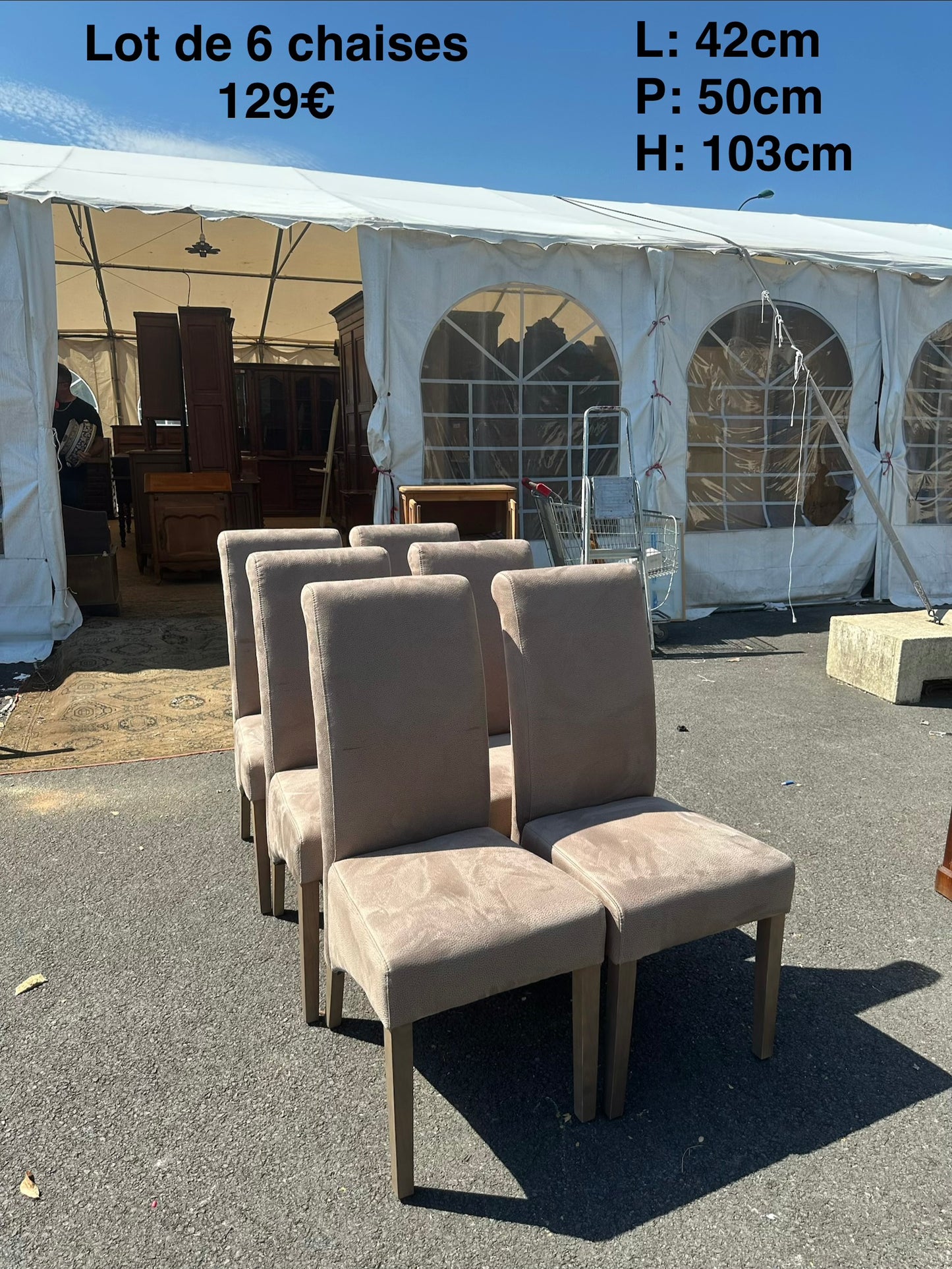 Lot de 6 chaises 063549