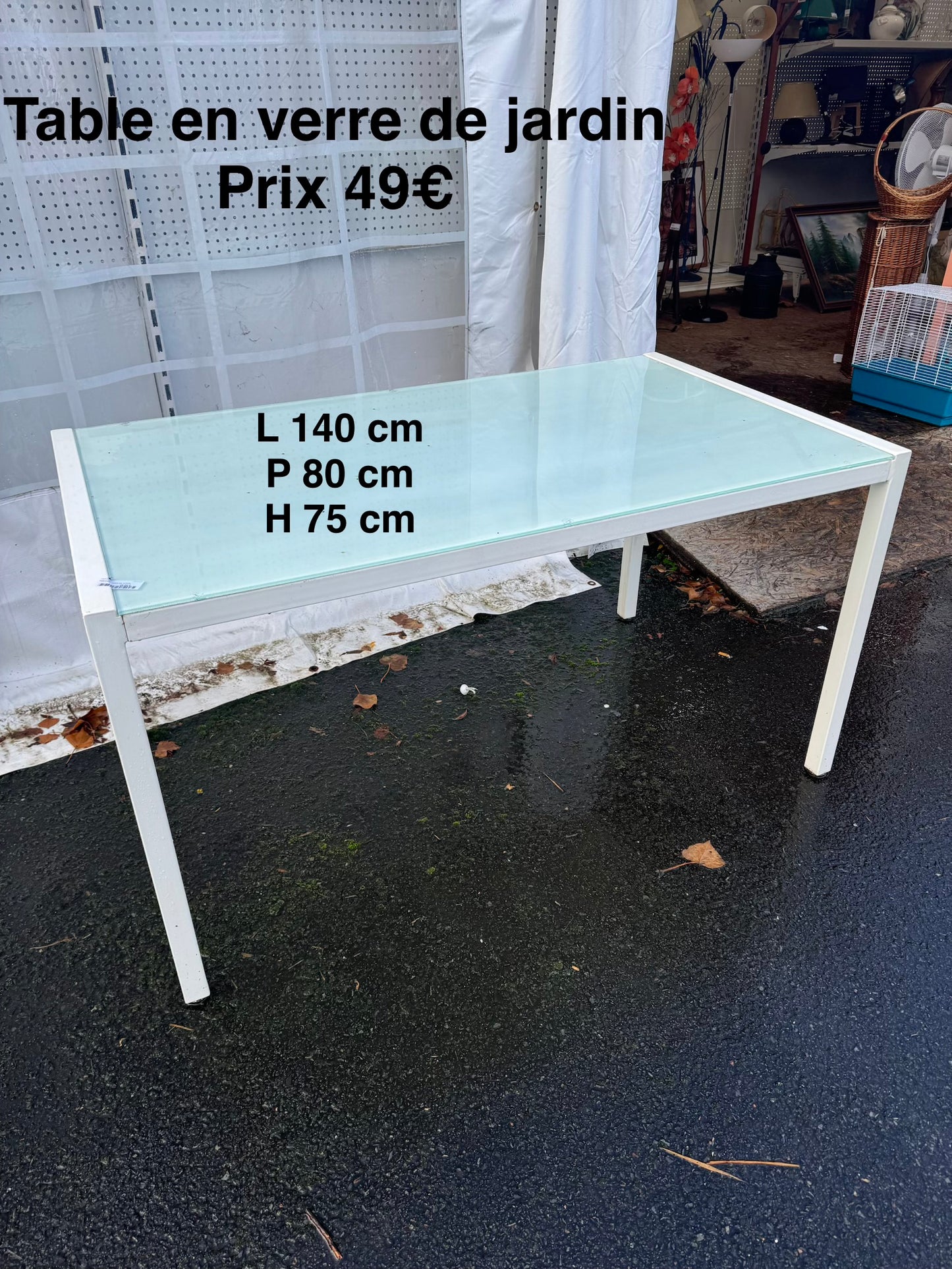 Table en verre de jardin 051505