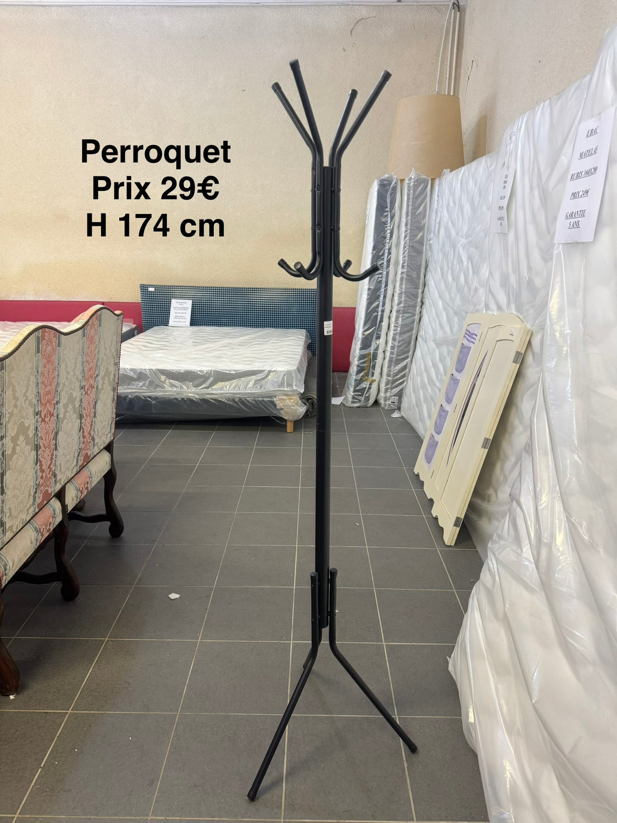 Perroquet 068303