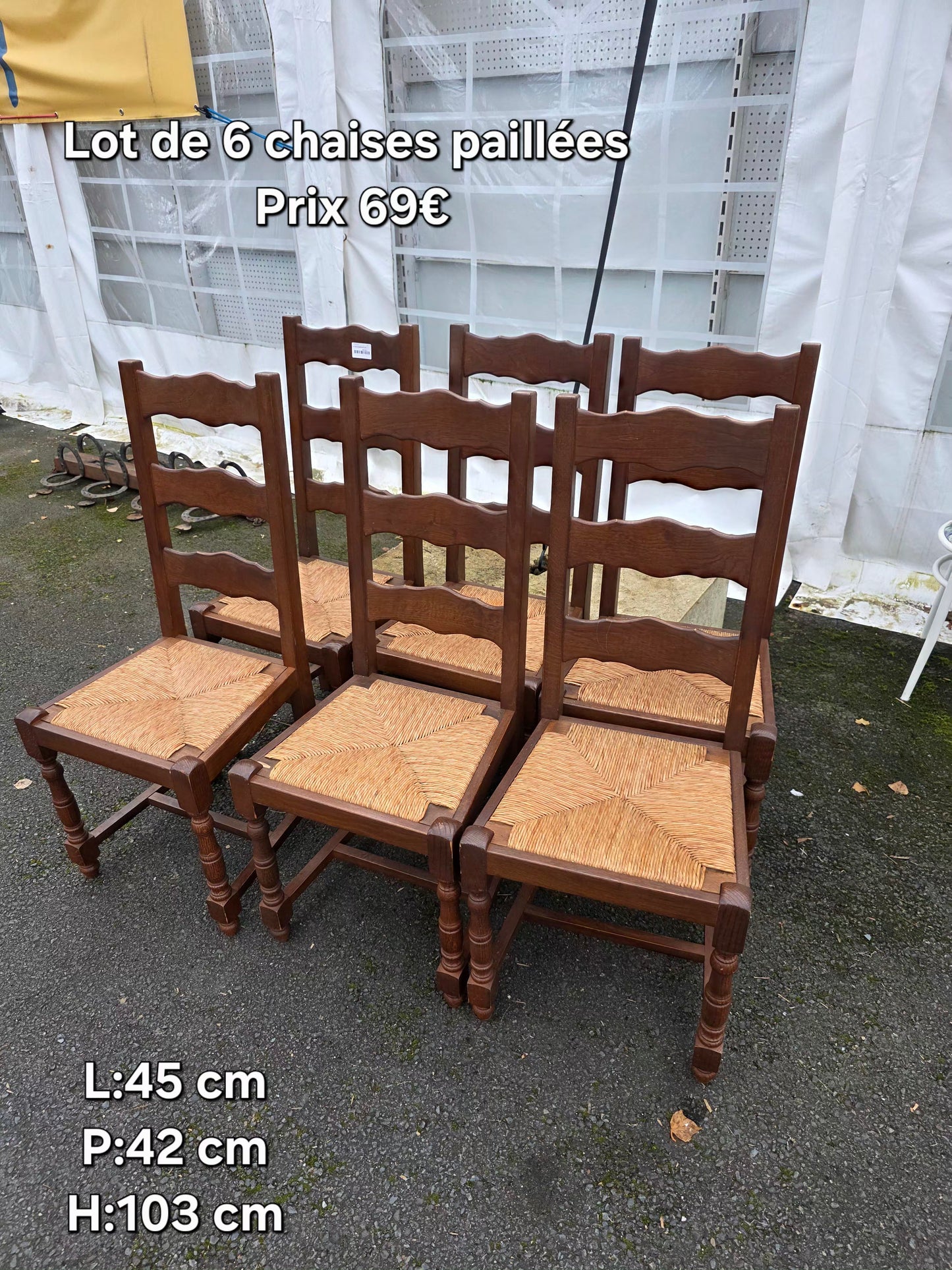 Lot de 6 chaises paillées 057319