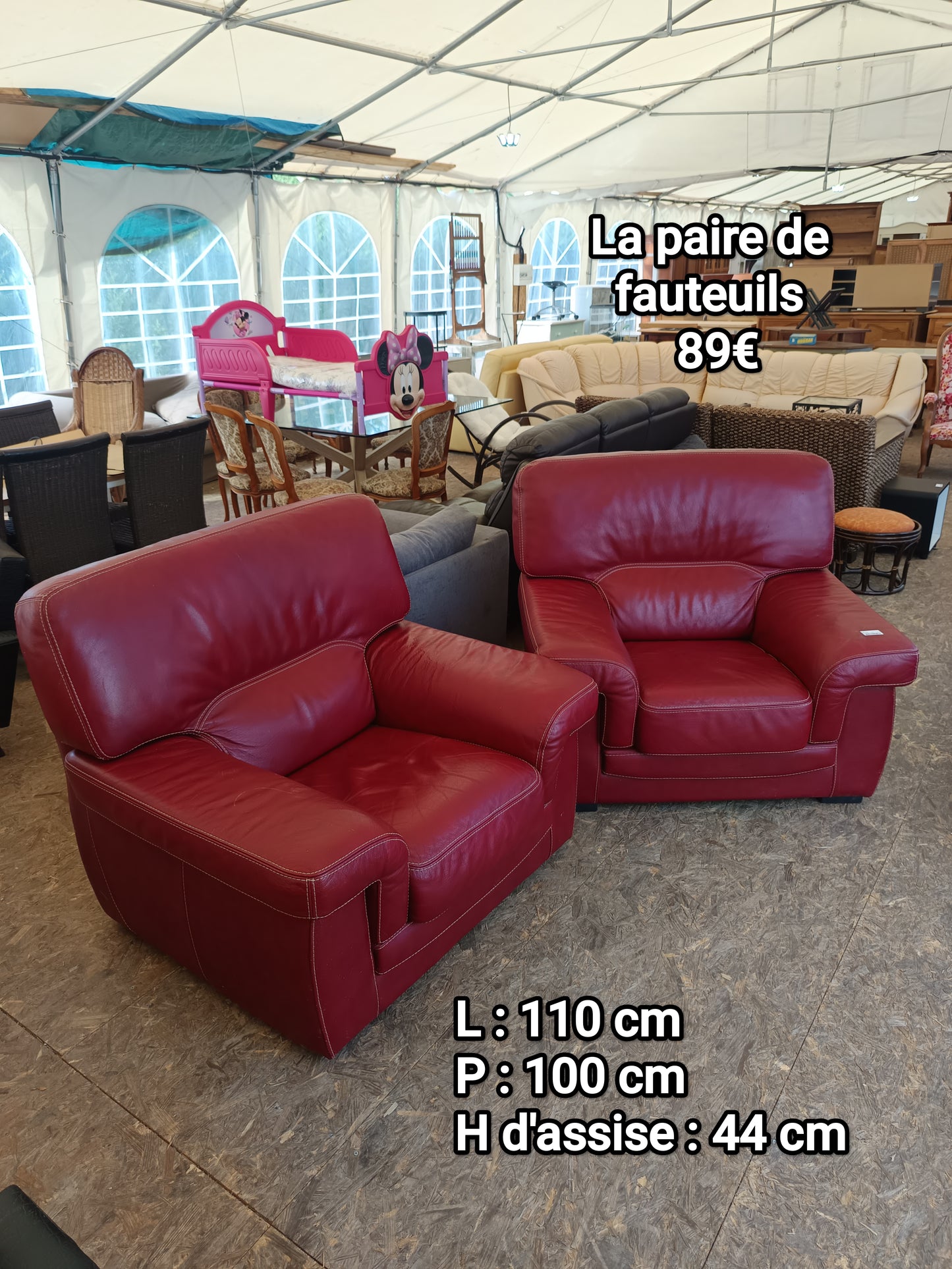 La paire de fauteuils 067041