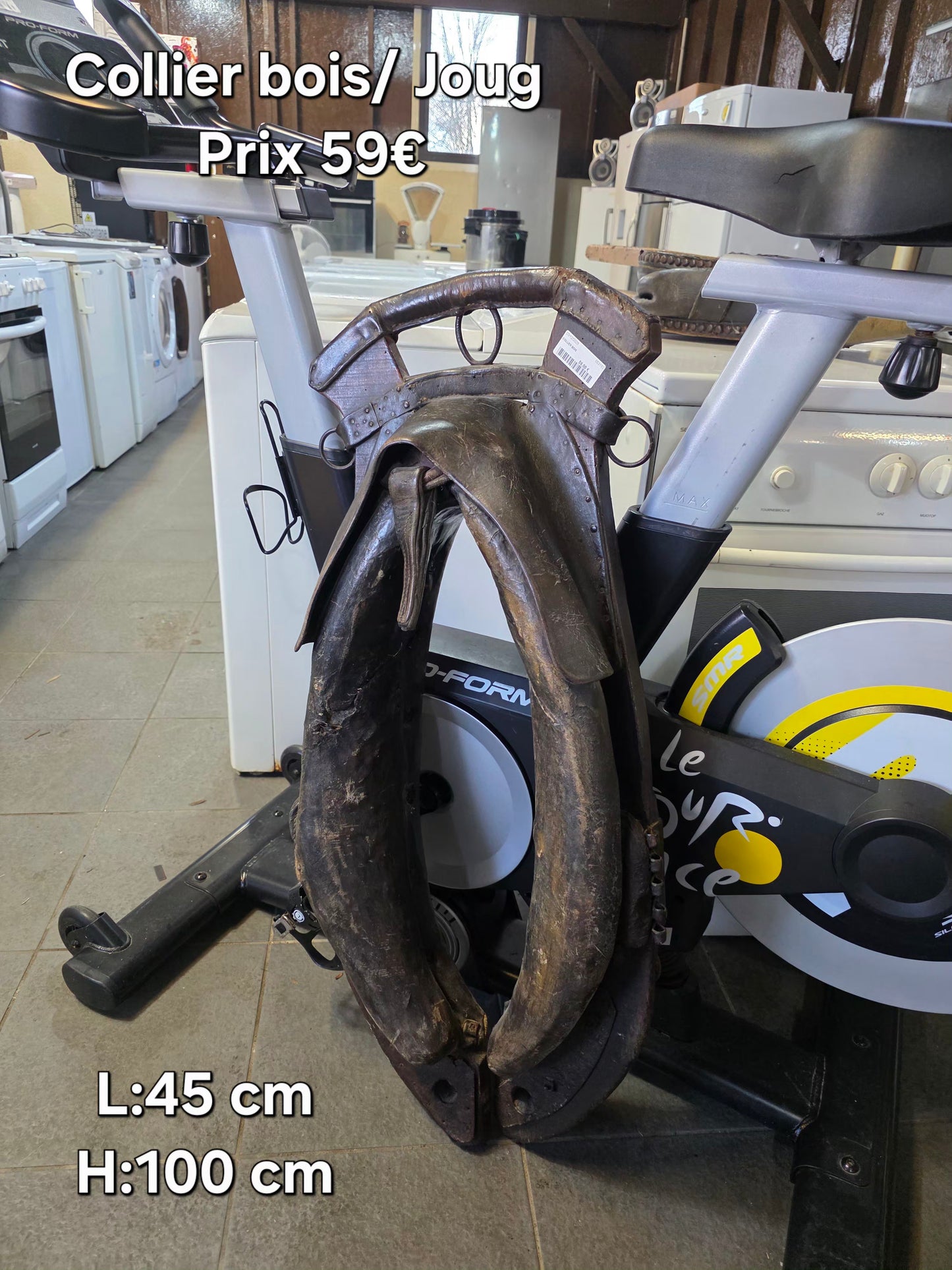 Collier bois/ joug 053182