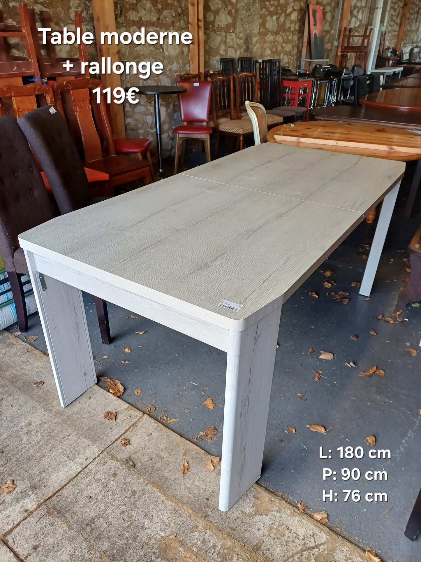 Table moderne + rallonges 067043