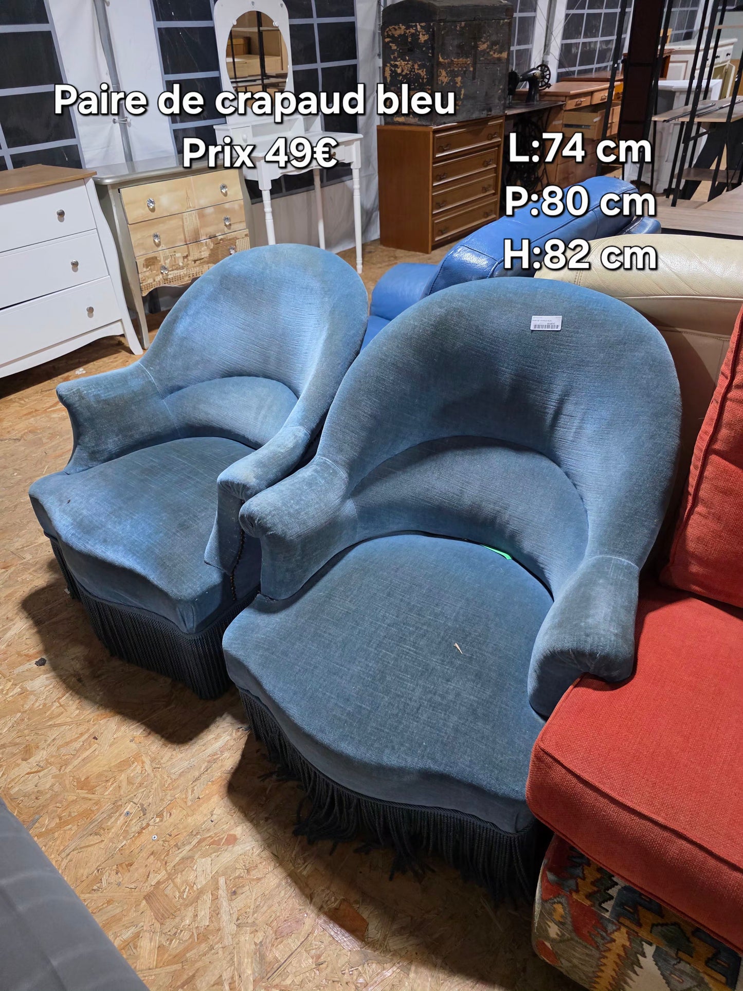 Paire de crapaud bleu 051016