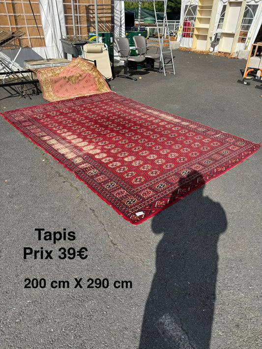 Tapis 061311