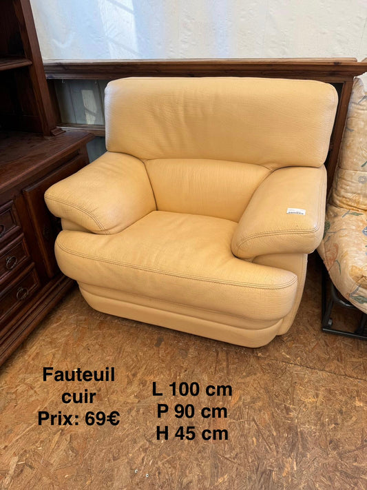 Fauteuil cuir 066912