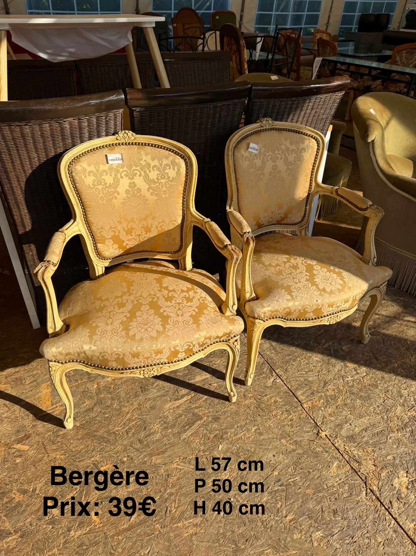 Bergère 066474