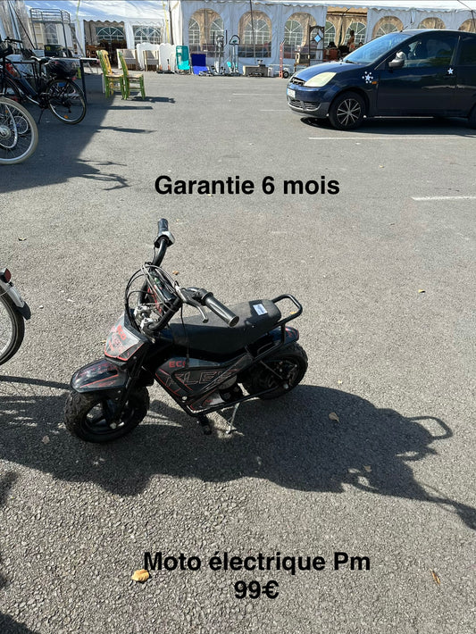 Moto électrique PM