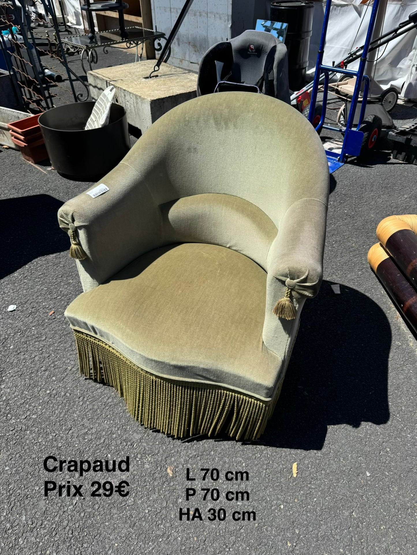 Crapaud 066120