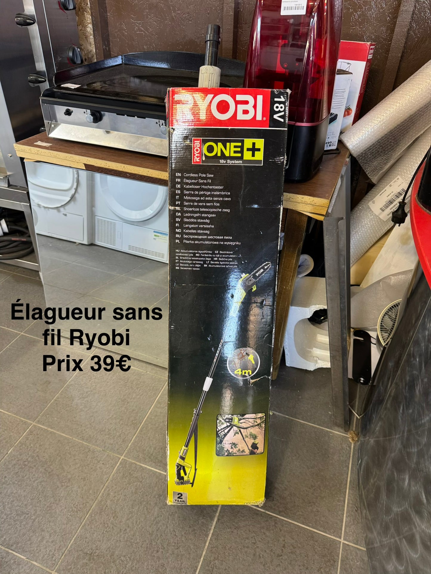 Élagueur sans fil Ryobi 065113