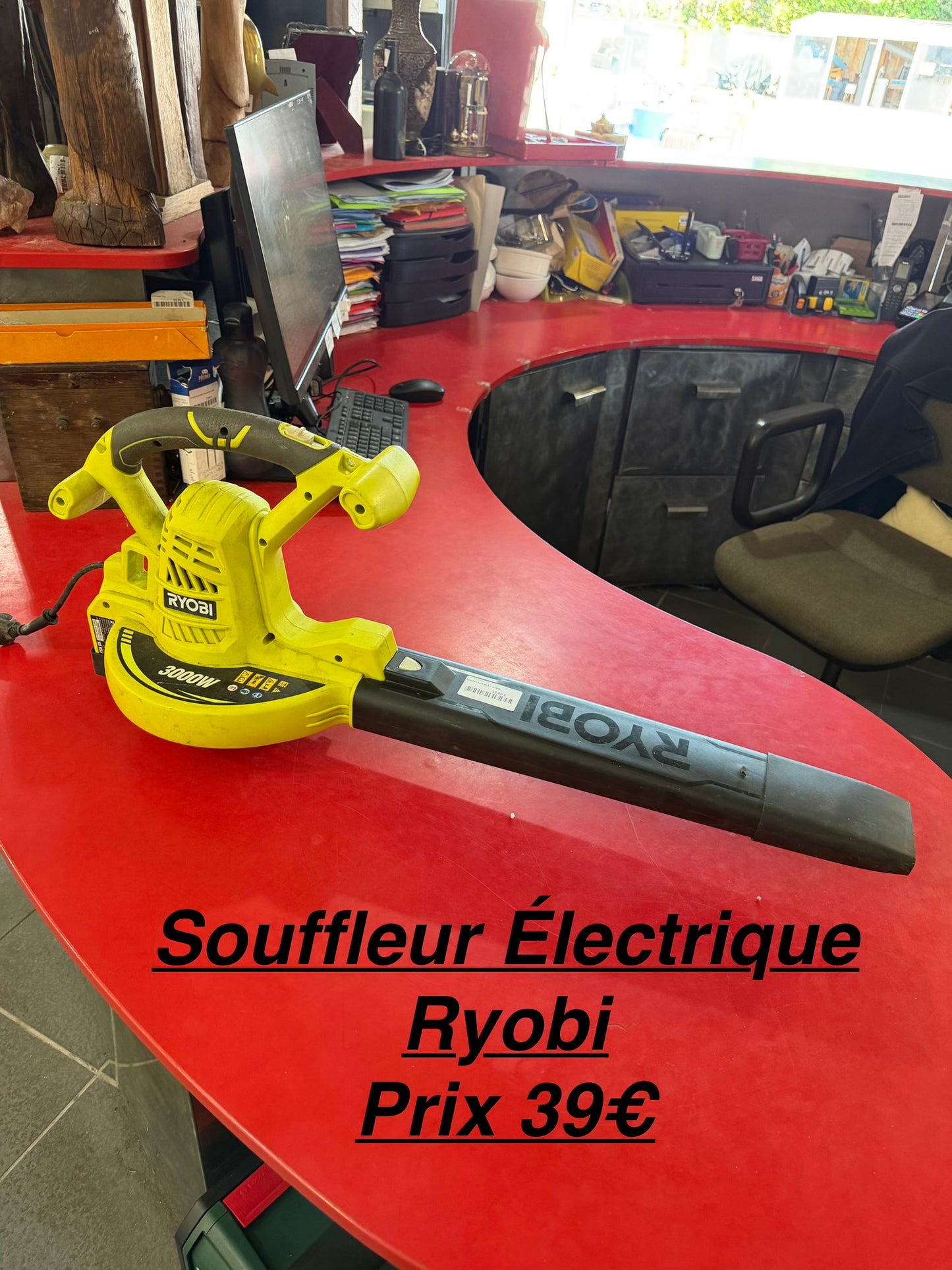 Souffleur électrique Ryobi 060811