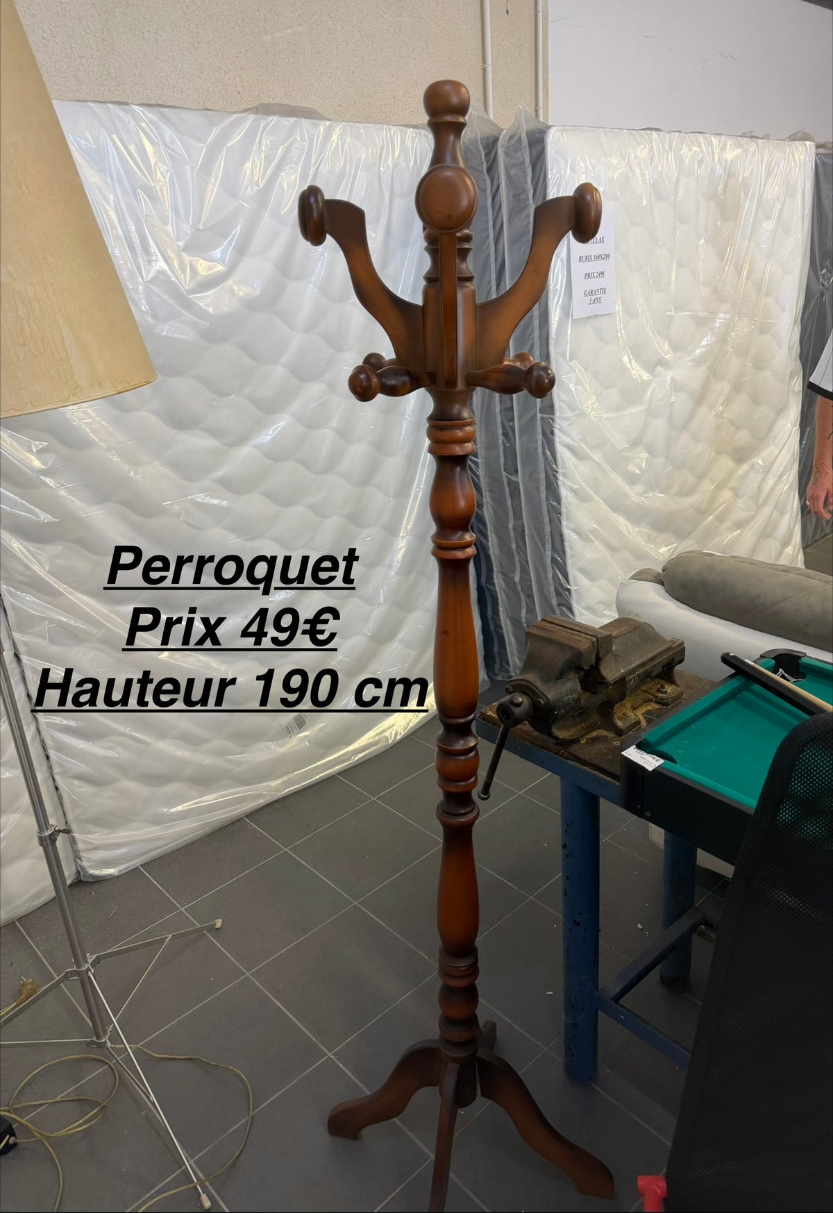 Perroquet 068069