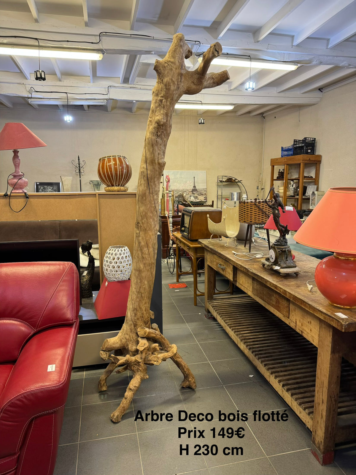 Arbre Deco Bois Flotté 068847
