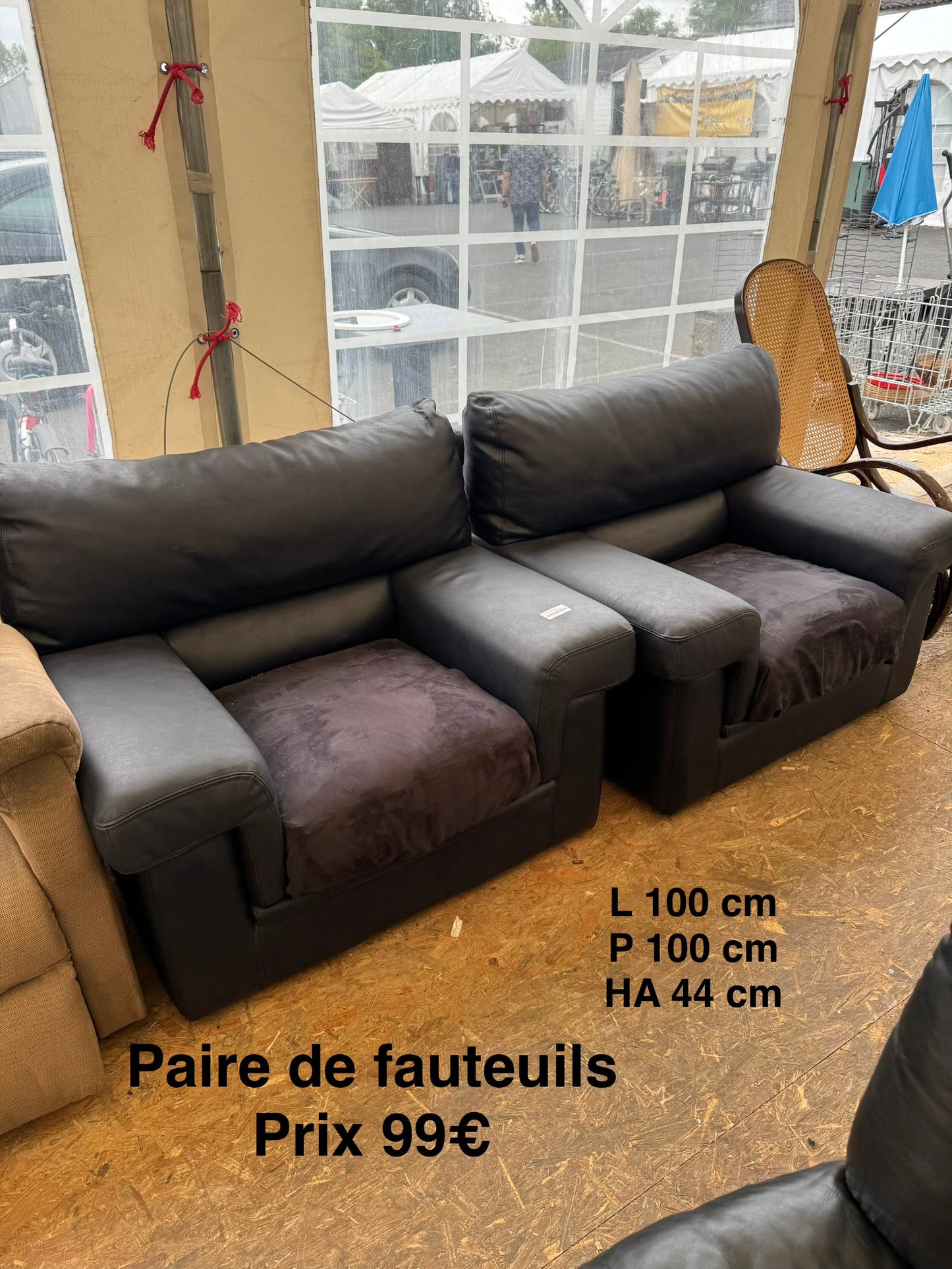 La paire de fauteuils 062575