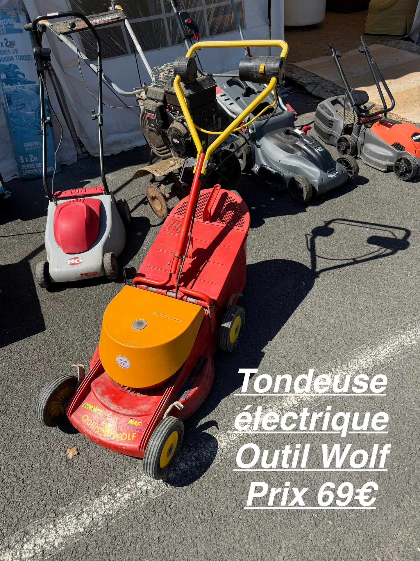 Tondeuse électrique Outil Wolf 064290