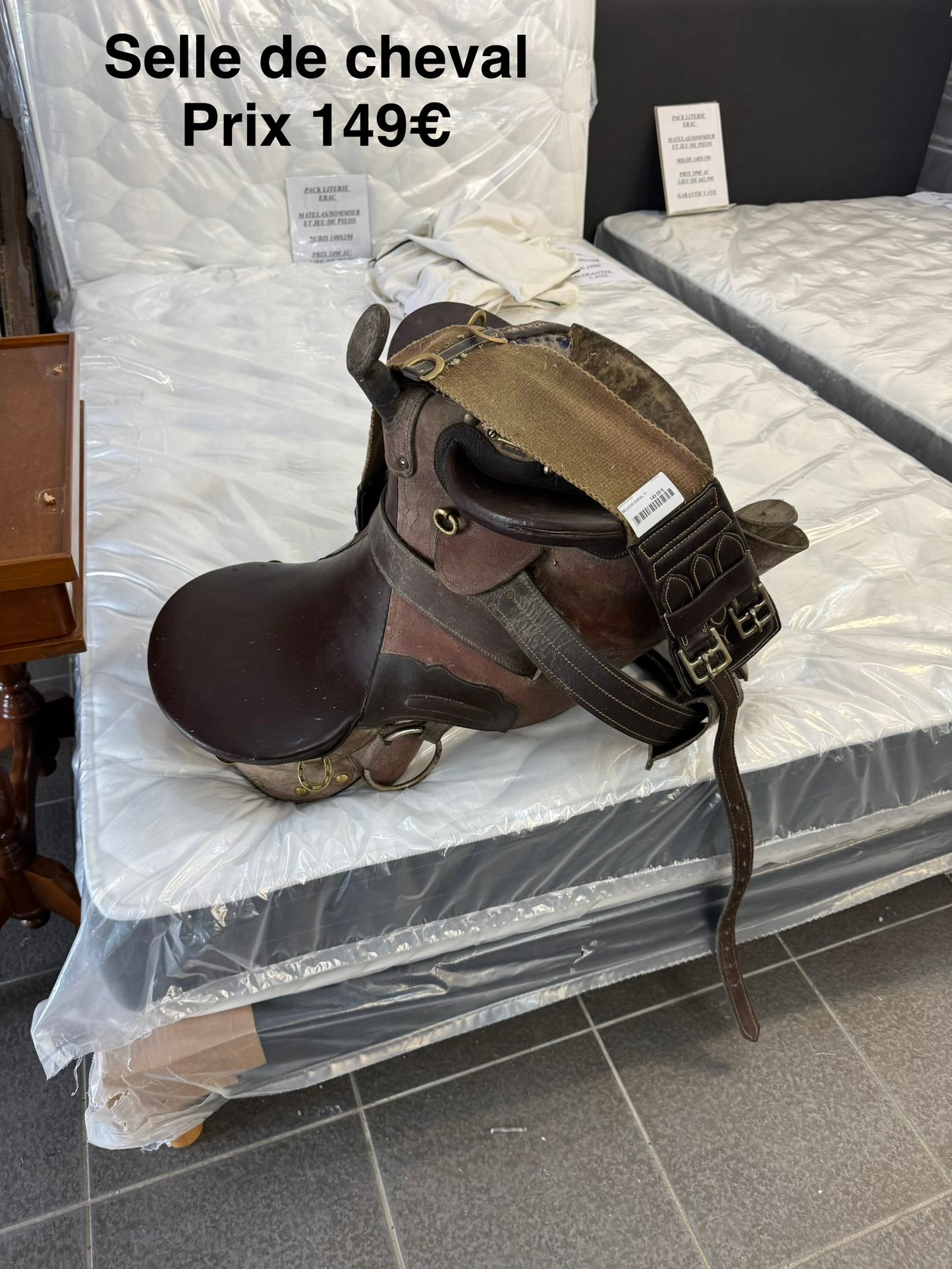 Selle de cheval 060921