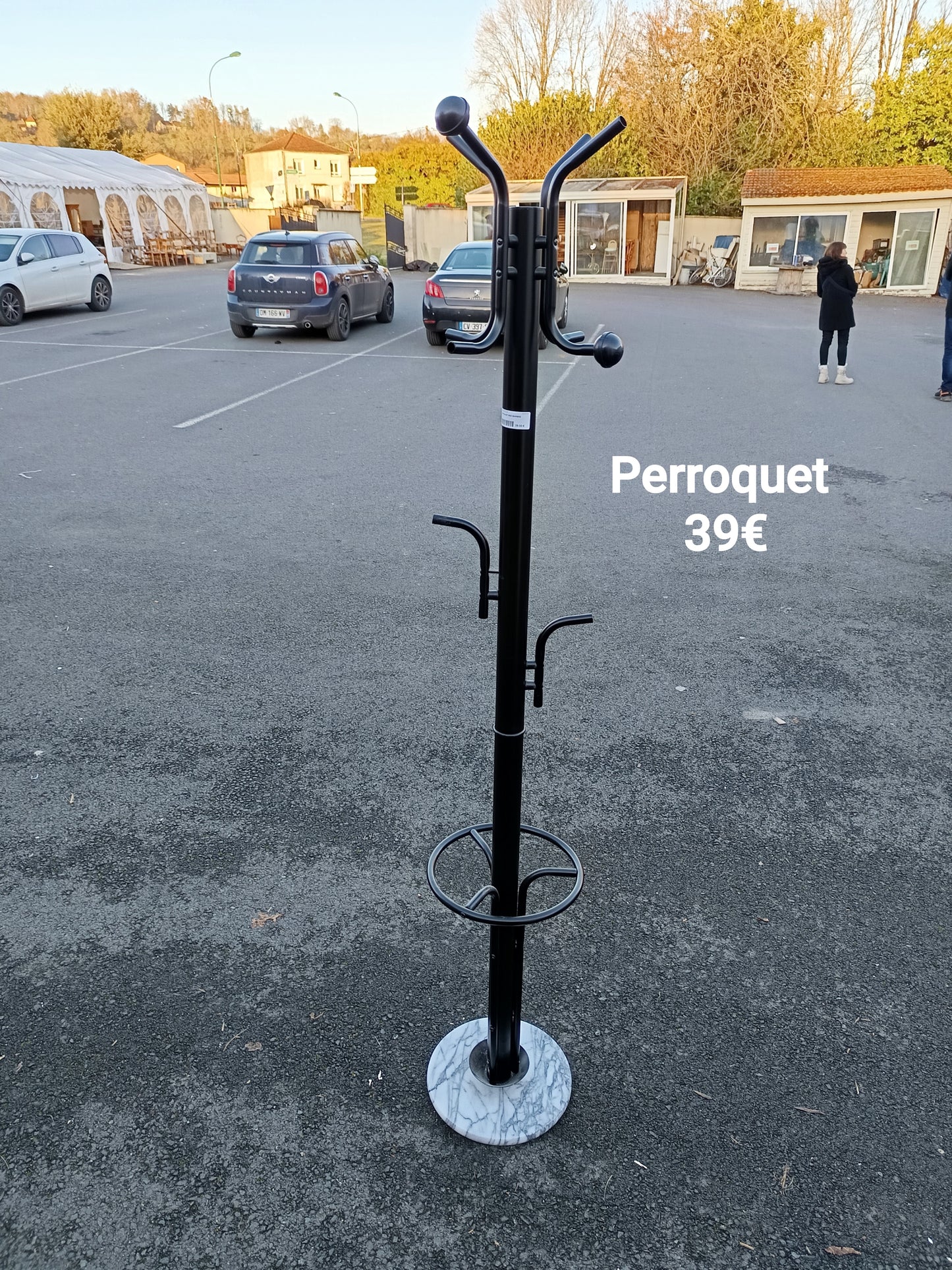 Perroquet 033151