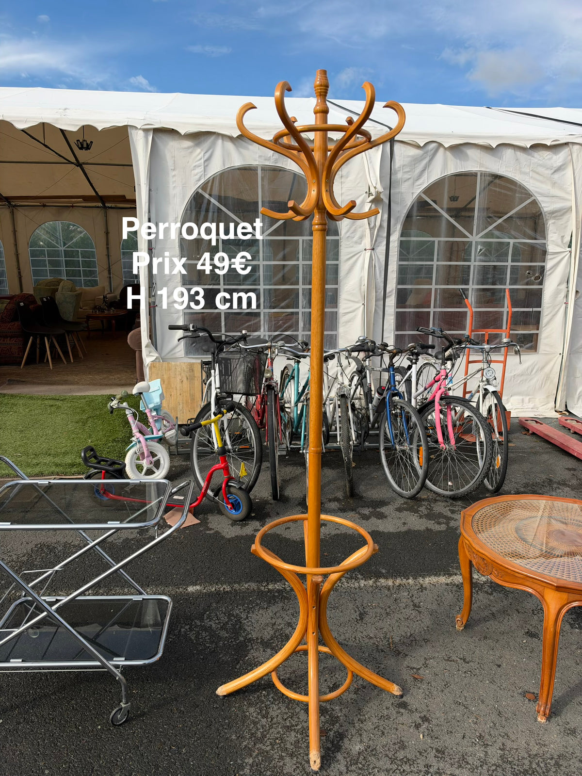 Perroquet 069712