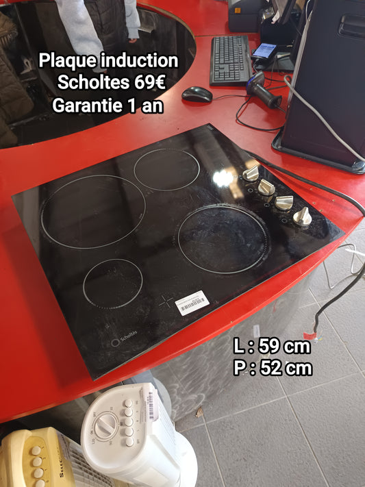 Plaque induction Scholtes 059586