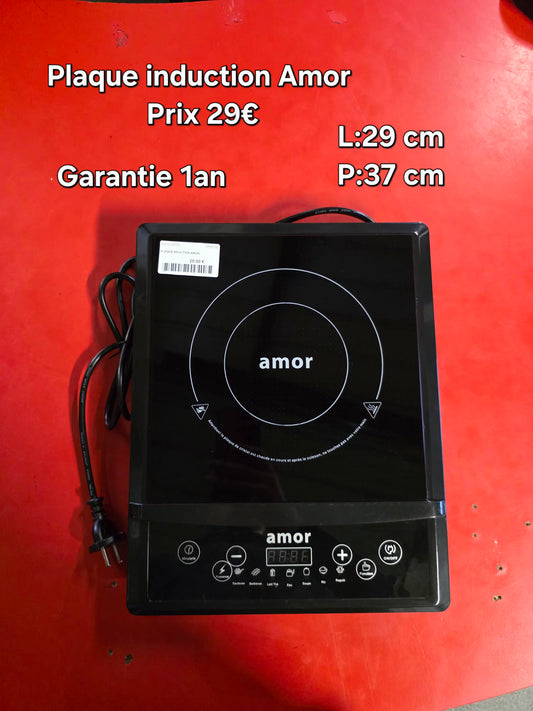 Plaque induction Amor 050516