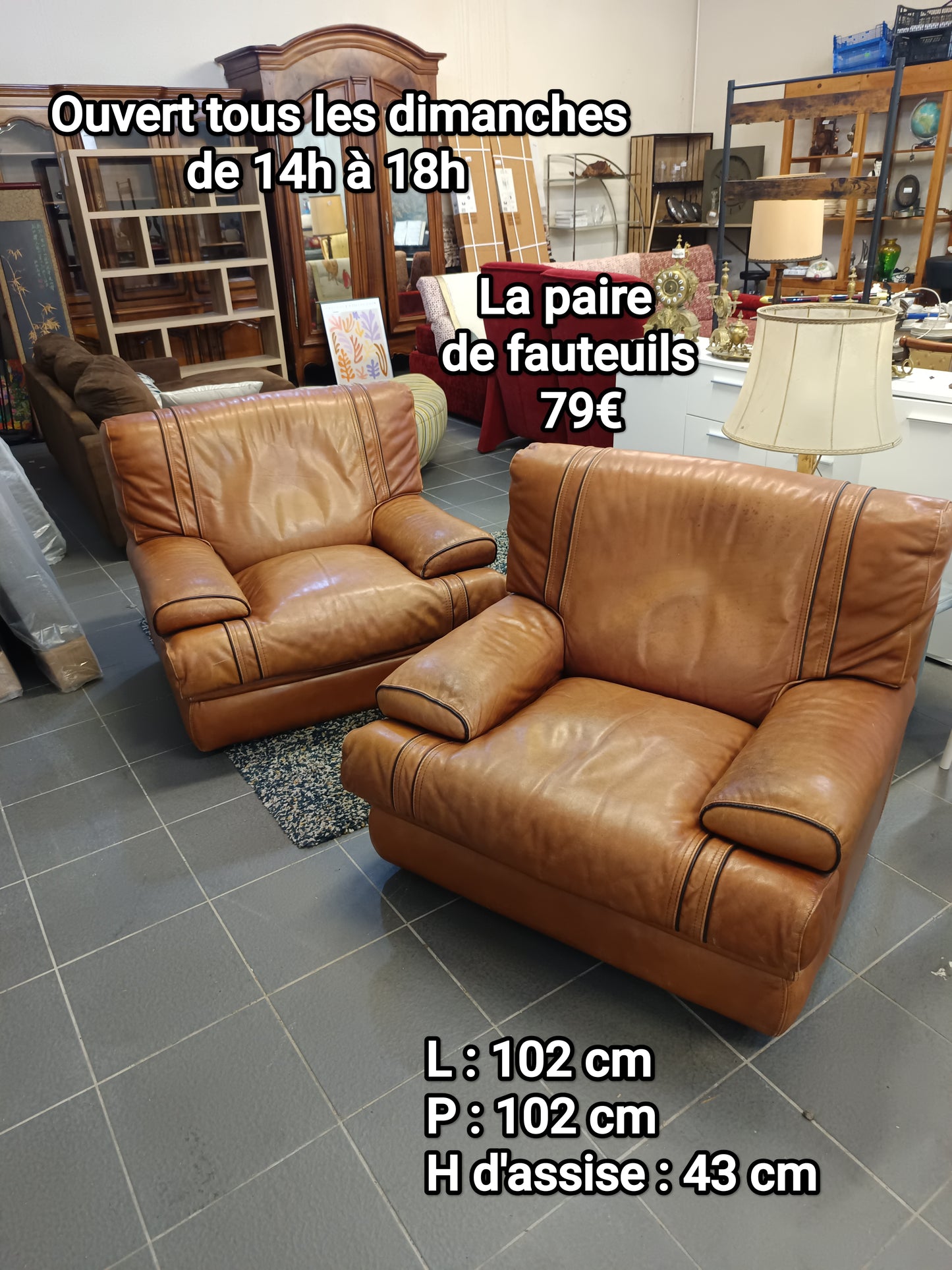 La paire de fauteuils 067037
