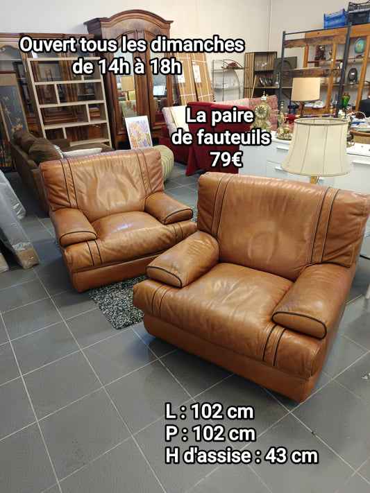 La paire de fauteuils 067037