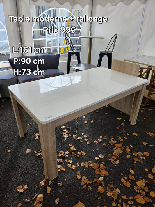 Table moderne + rallonge 051041